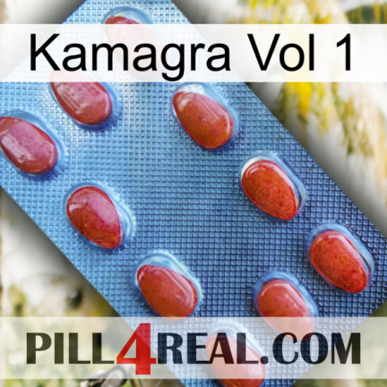 Kamagra Vol 1 06